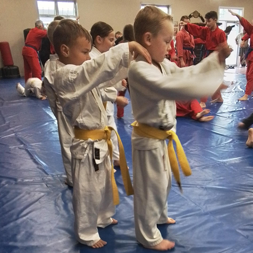 kids jiu-jitsu